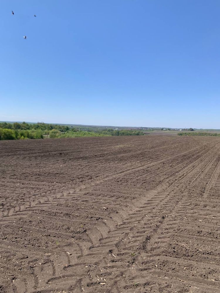 Продам земельну ділянку , пай