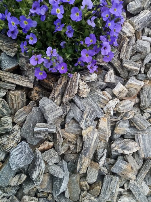 Kora kamienna fr.20-40, kruszywo ozdobne, kora sosnowa, ziemia, torf