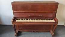 Pianino  Calisia