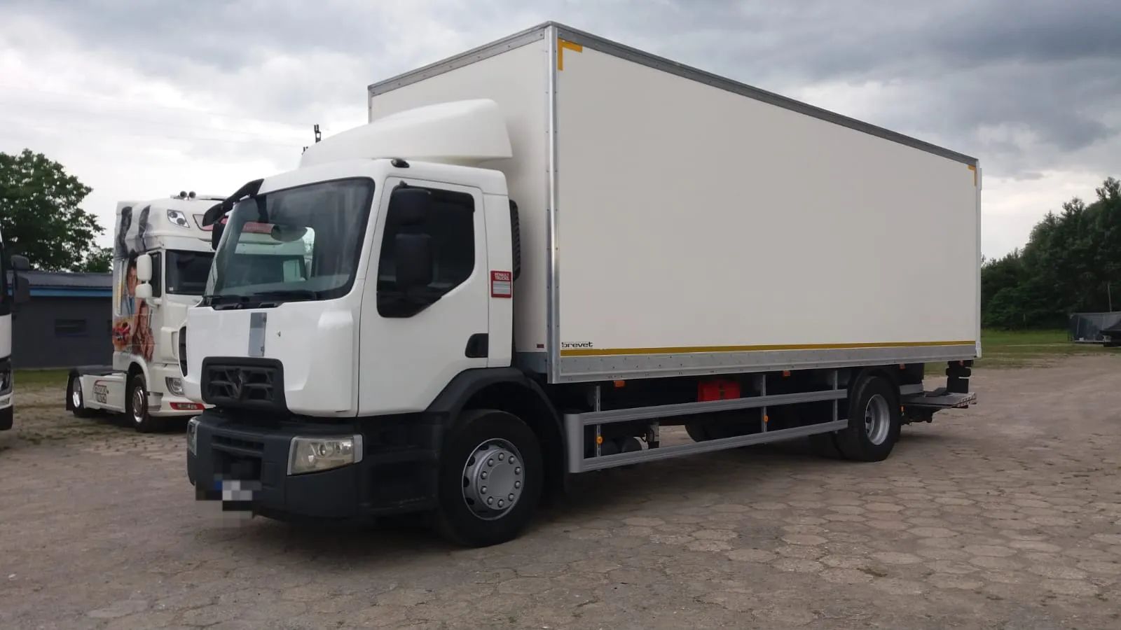 Renault D19/WINDA/MAŁY PRZEBIEG /FRANCJA