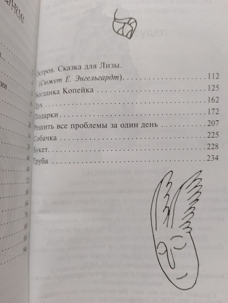 Решить все проблемы за 1 день. Наталья Грэйс.