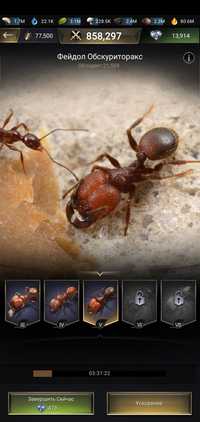 The ants 17lvl..