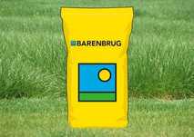 nasiona barenbrug trawy pastewne oraz lucerna