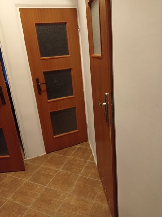 Cztery drzwi wewnętrzne oraz listwy przypodłogowe