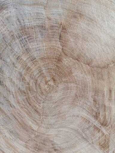 DREWNO KOMINKOWE/Opałowe promocja