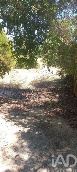 Terreno em Moncarapacho e Fuseta de 5320,00 m2