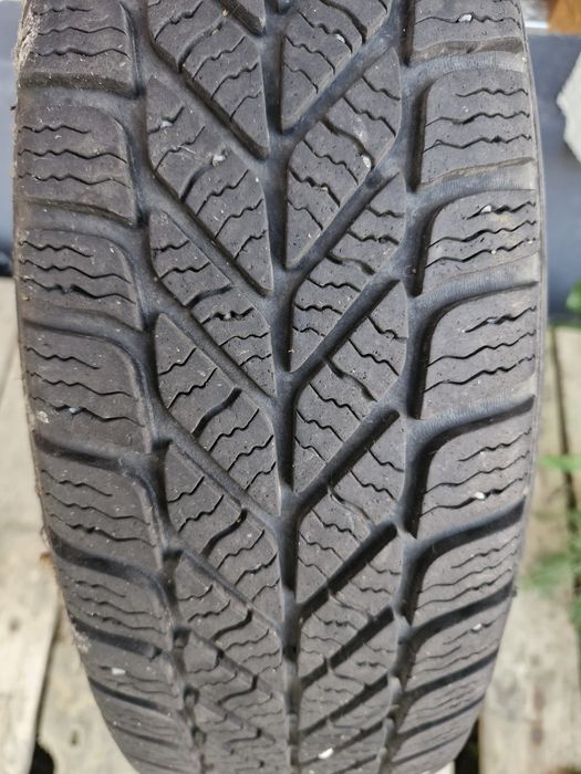 Opony zimowe Dębica