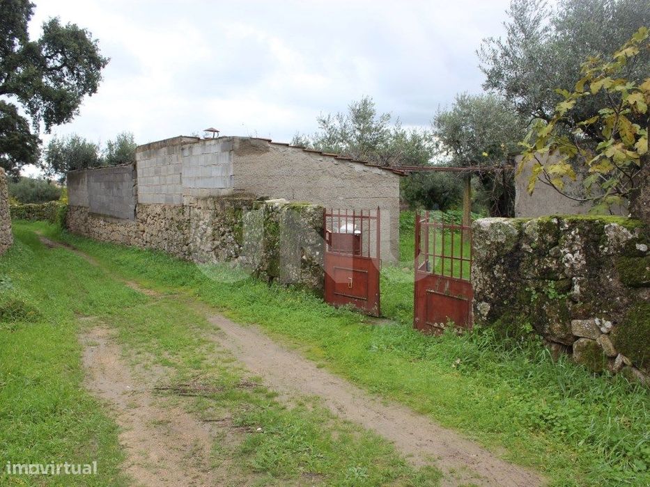 Quintinha com 4250m2