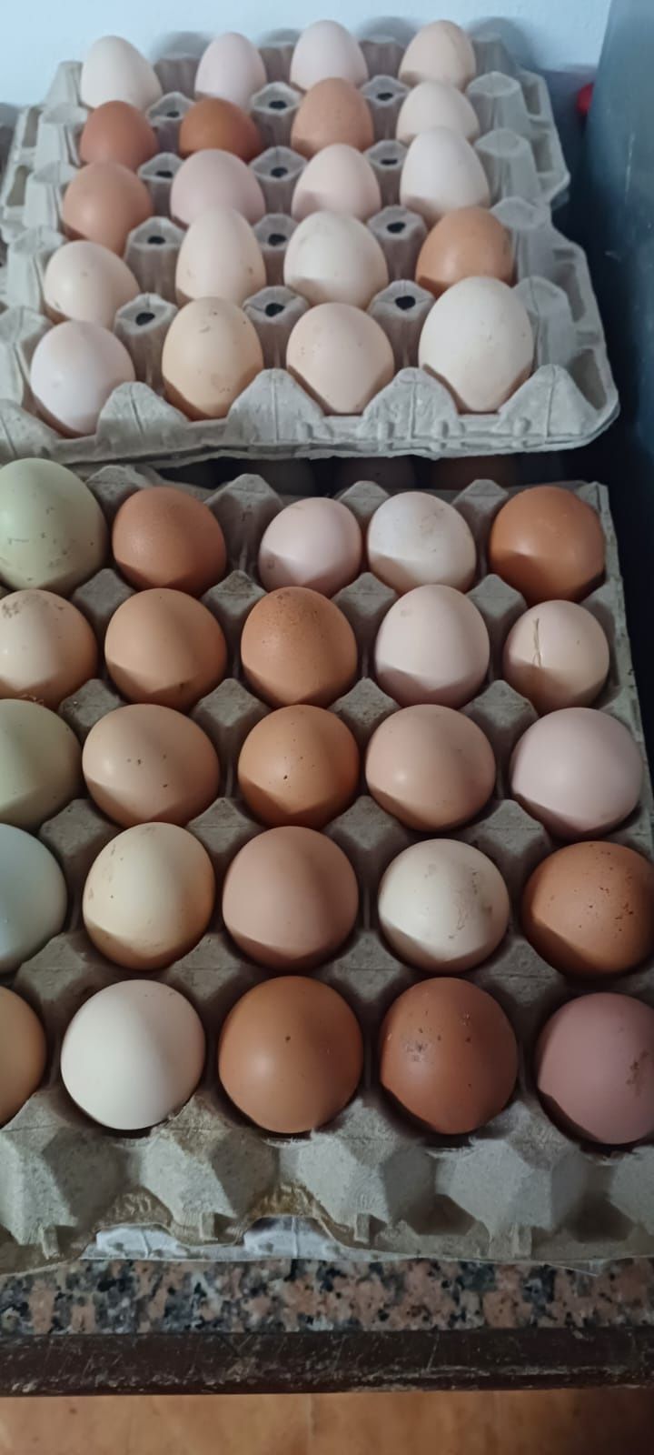 Ovos caseiros biológicos-3,0€ a dúzia'