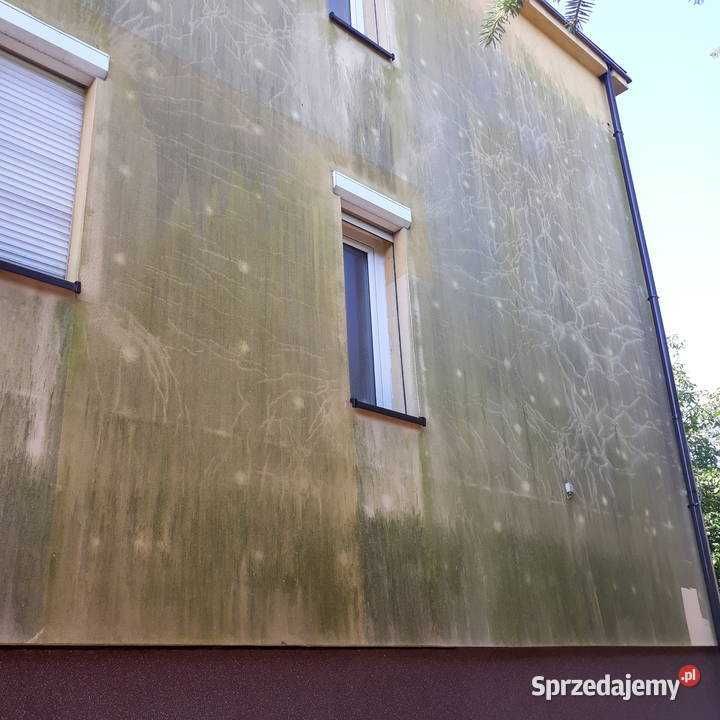 Malowanie, czyszczenie, impregnacja dachów, elewacji, kostki brukowej