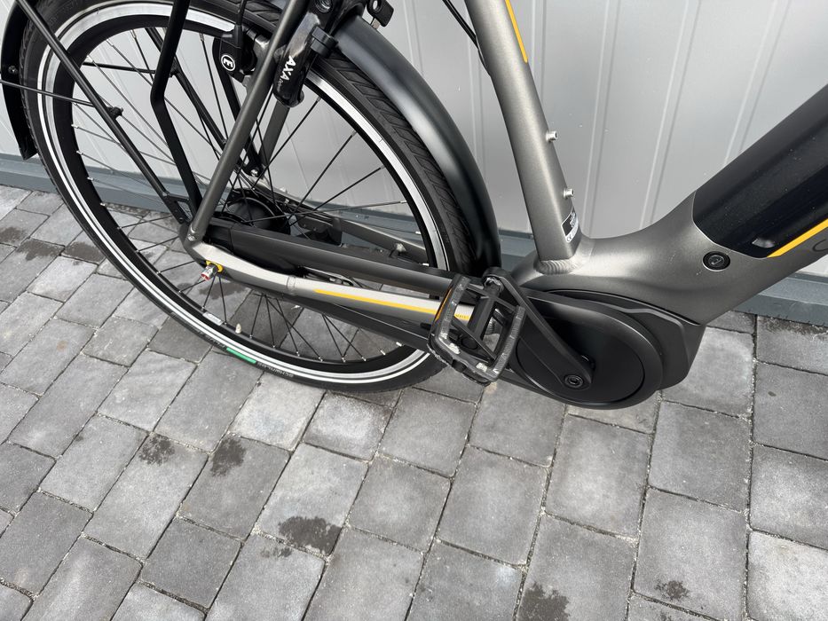 Gazelle Ultimate C8+ Męski