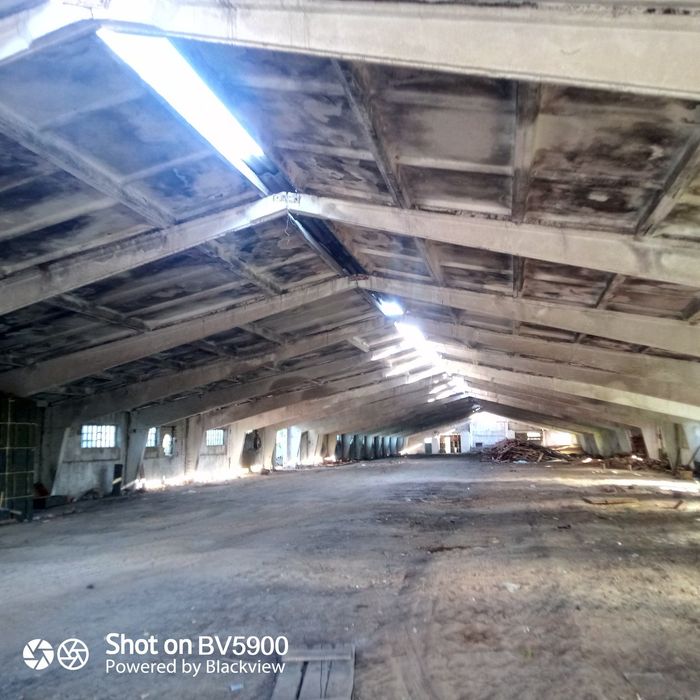 Клюшечник 21/95  шаг 4.5мет.