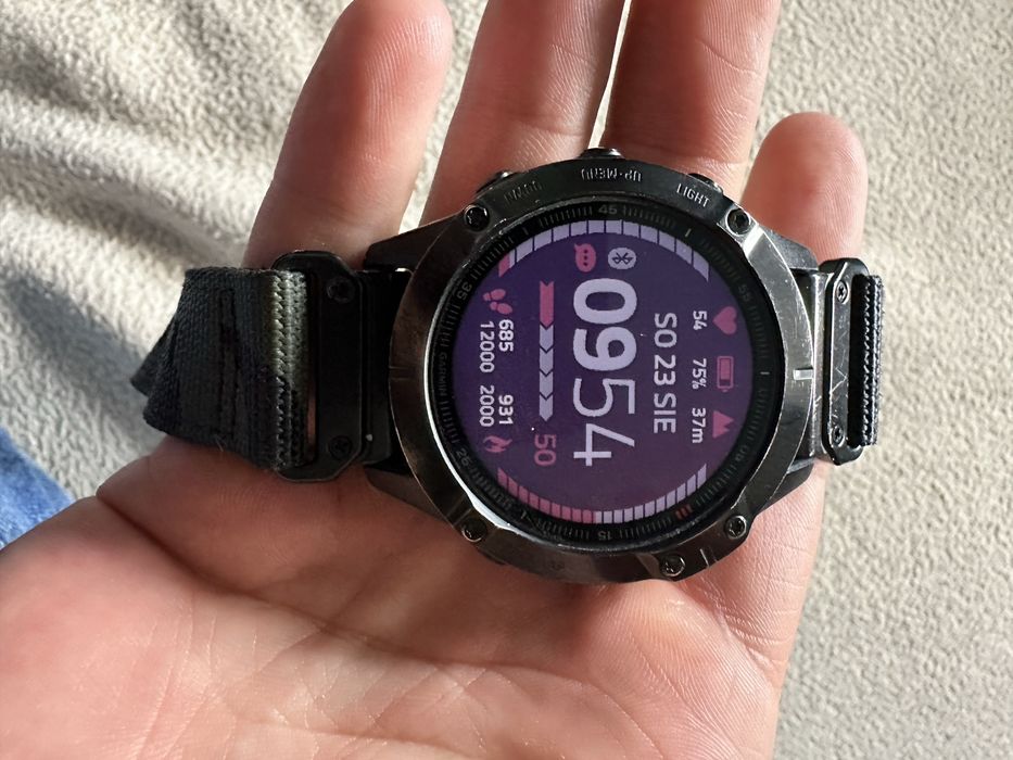 Garmin Feniks 6 pro