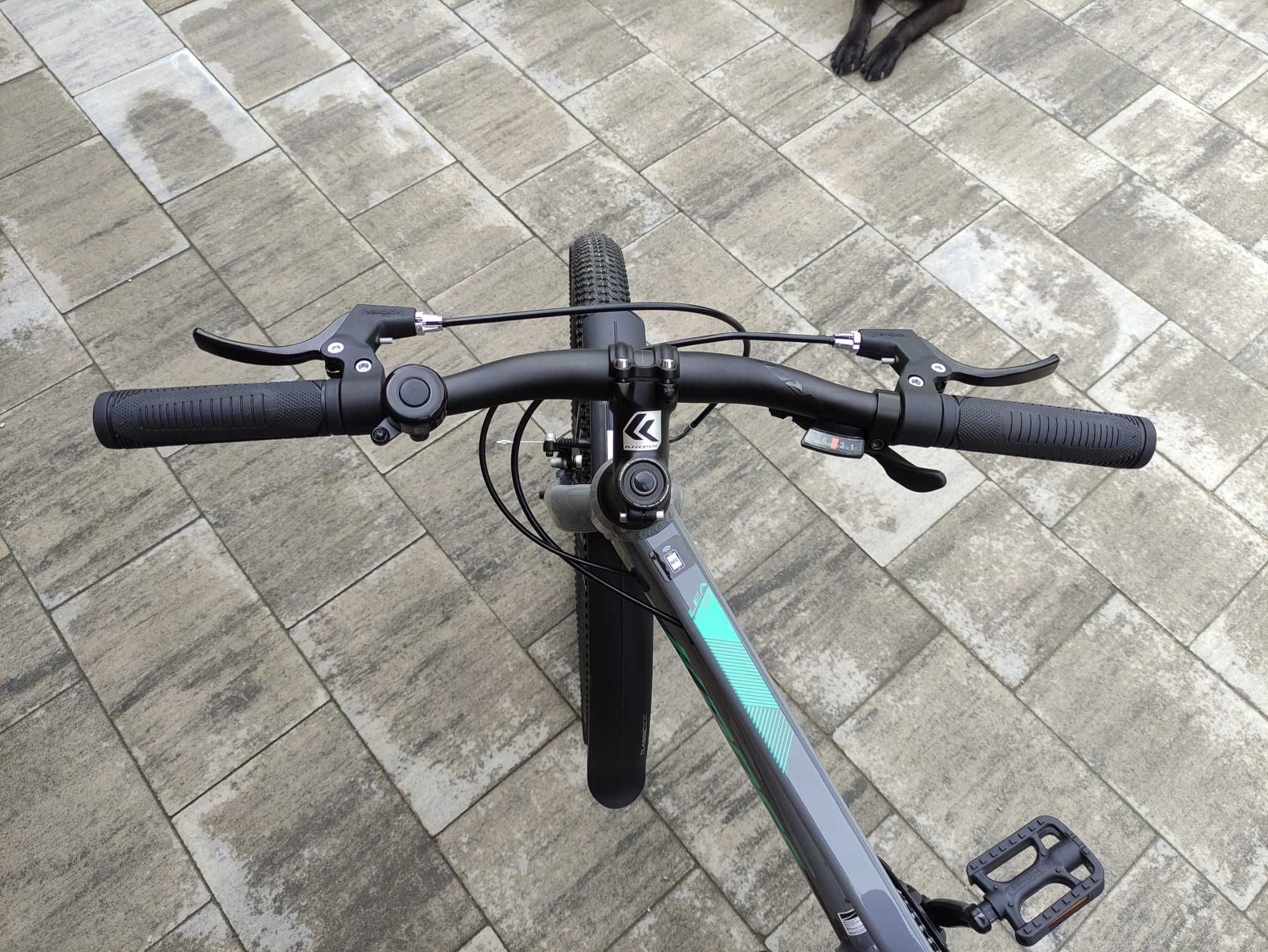 Rower Kross Lea 2.0 24"