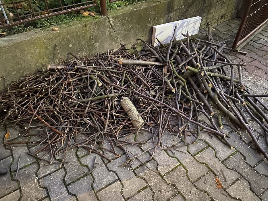 Drzewo orzech oddam, Radzionków