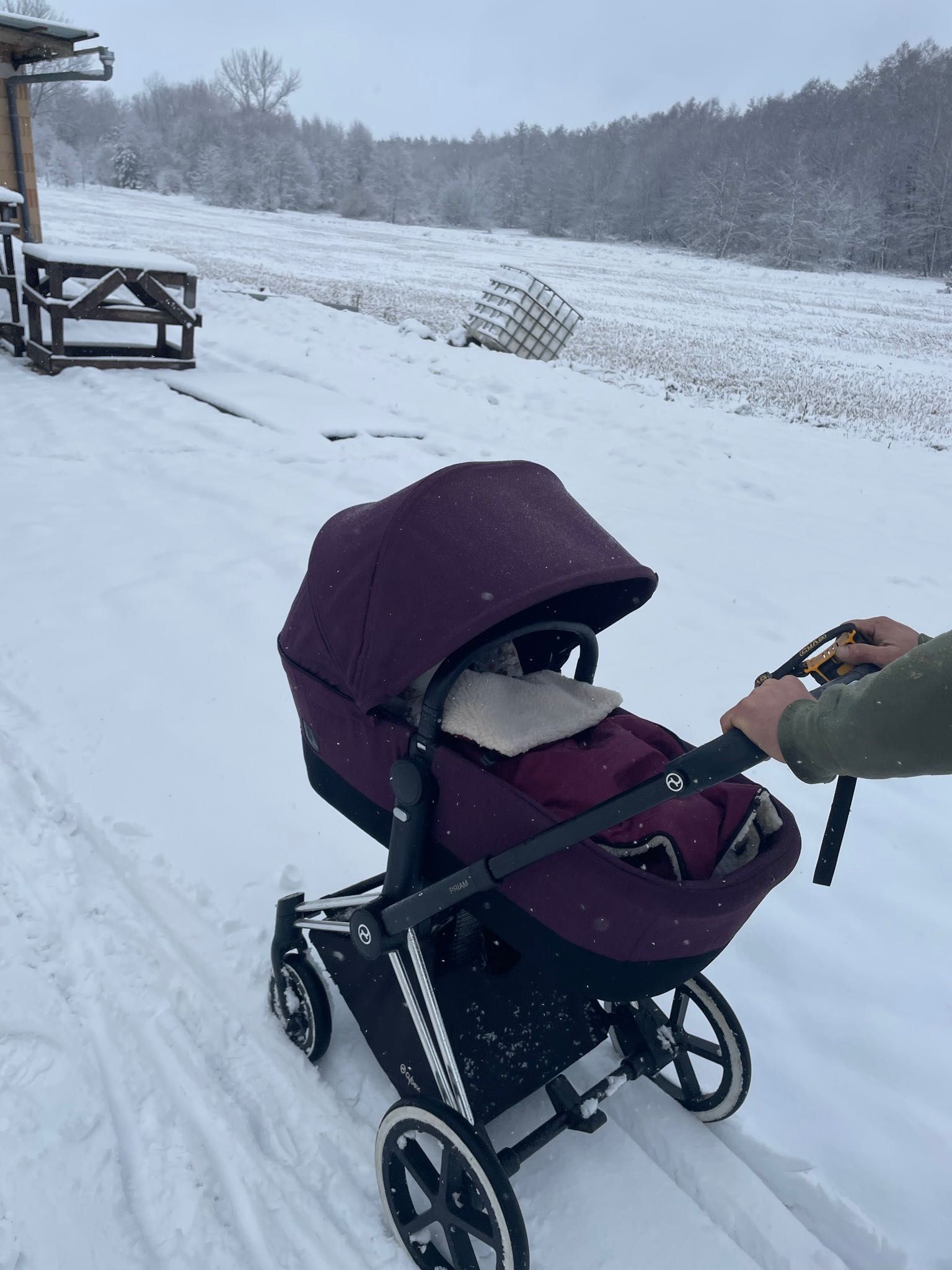 Коляска  Cybex Priam 2 в 1 . Коляска Cybex