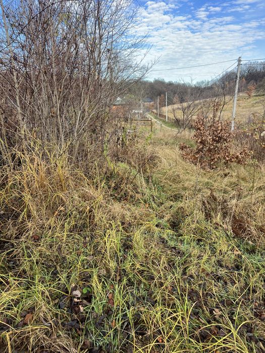 Продаж земельної ділянки 4.36 сот. в с. Липники ціна 9999$.