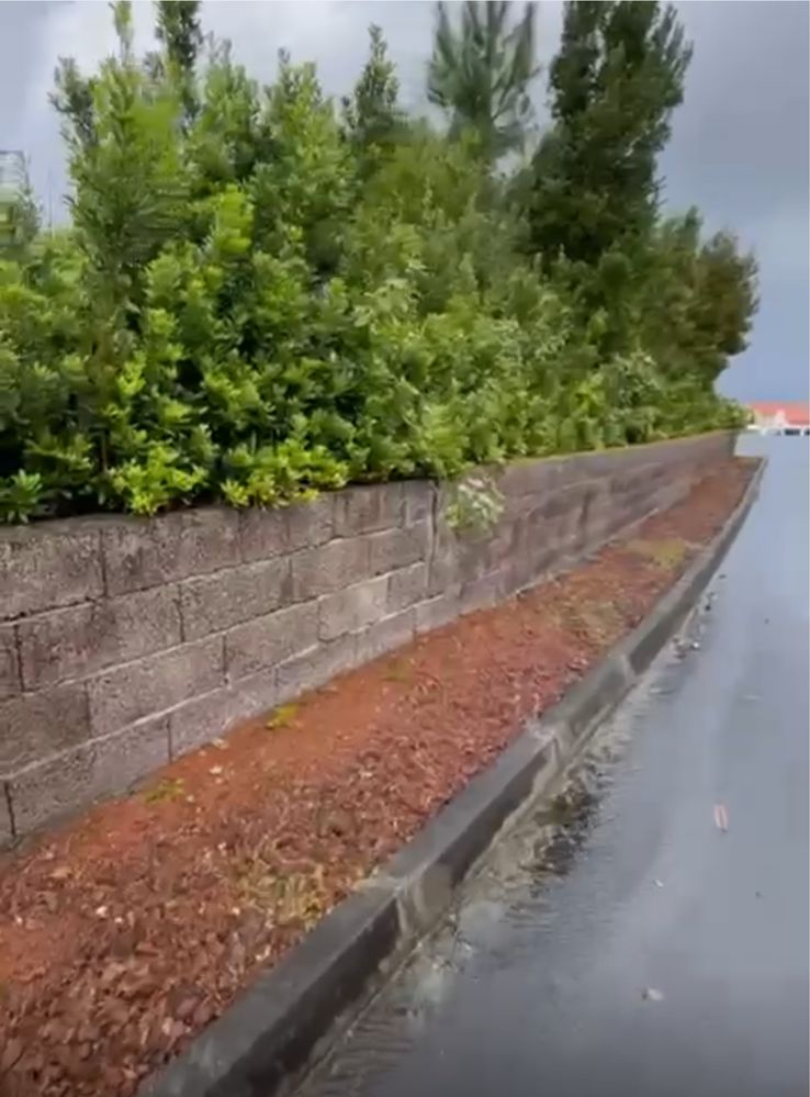 terreno urbano Ilha do Pico Acores