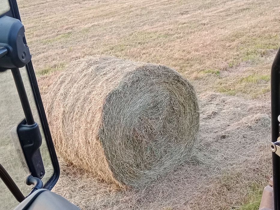 Sprzedam Siano baloty  120stki