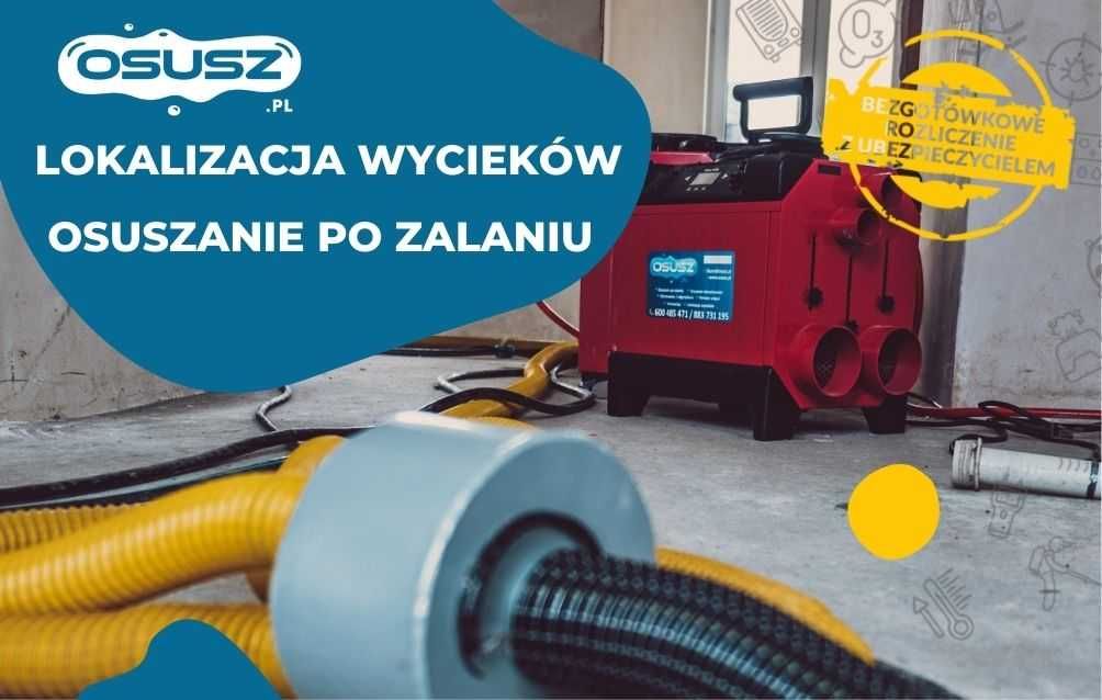 Osuszanie budynków, mieszkań po zalaniu, Lokalizacja wycieków