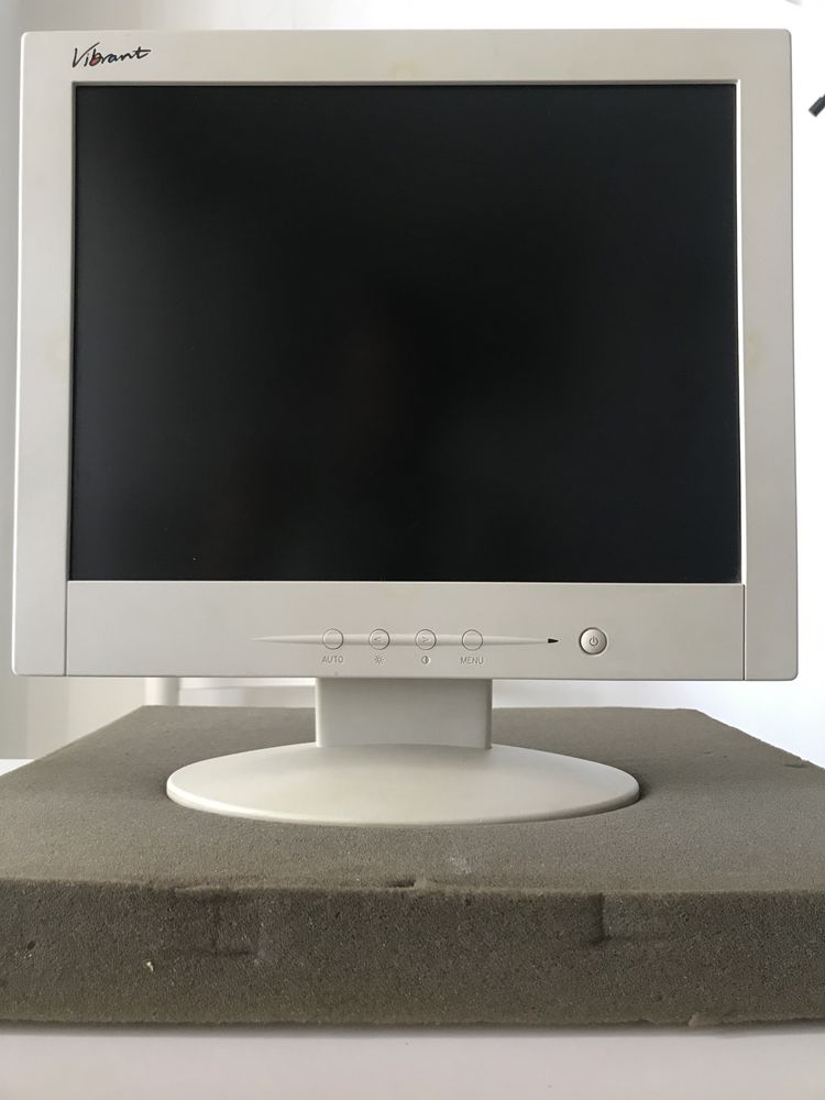 Monitor / Ecra Flat Vibrant (M. B. Condições)
