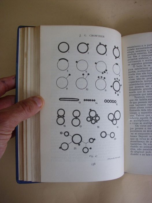 O Universo de J. G. Crowther