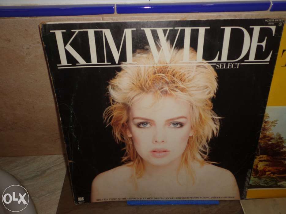 Discos de Vinil grandes e pequenos vários artistas