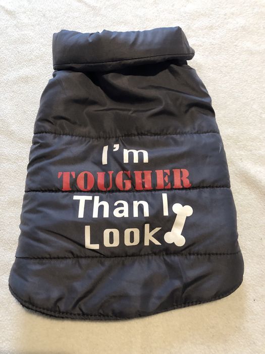 Szara kurtecxka dla psa