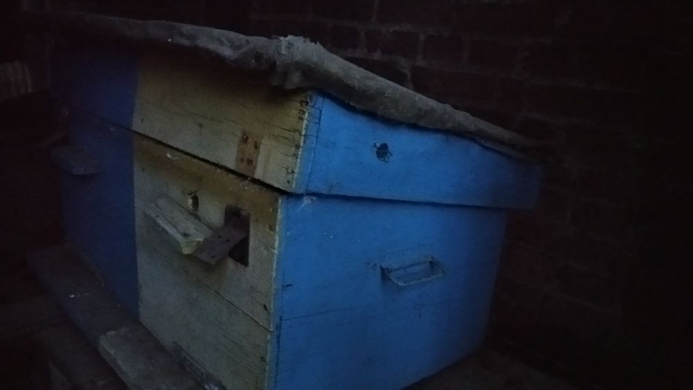 Продам вулики терміново