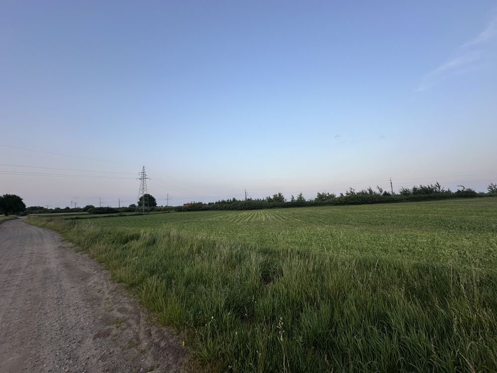 Krotoszyn ul. Konarzewska