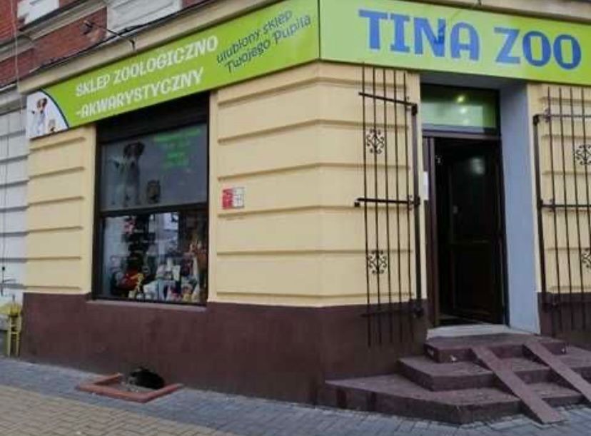 Ista butla 95g CO2 akwarium - TINA ZOO Gliwice Witkiewicza