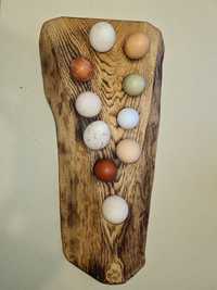 Jaja lęgowe indycze ,kacze,gęsie i kurze