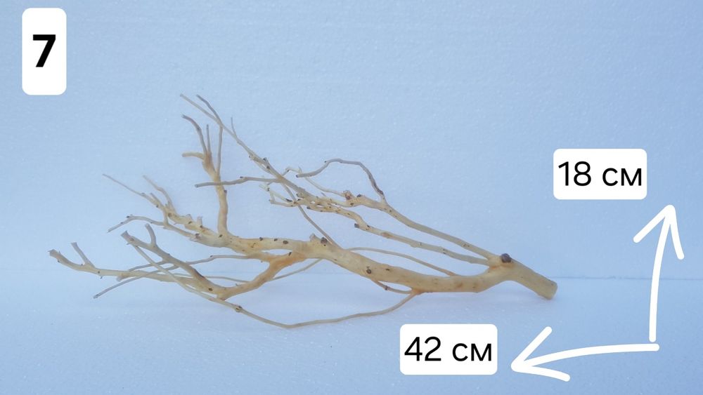 Акваріумні коряги
