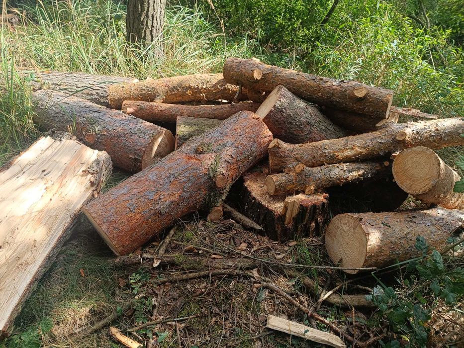 Drewno opałowe sosna modrzew wałki grube transport