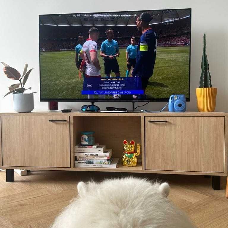 Piękna skandynawska szafka RTV