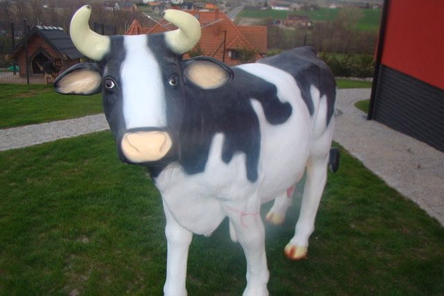 Sztuczna krowa,krowa do dojenia wysyłka cała Polska