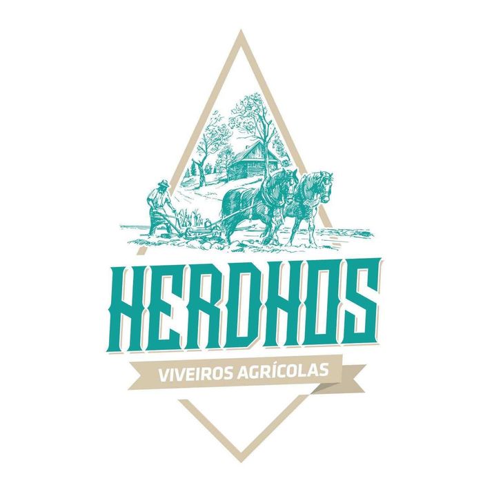 Árvores de Fruto Certificadas em Vaso - com entrega