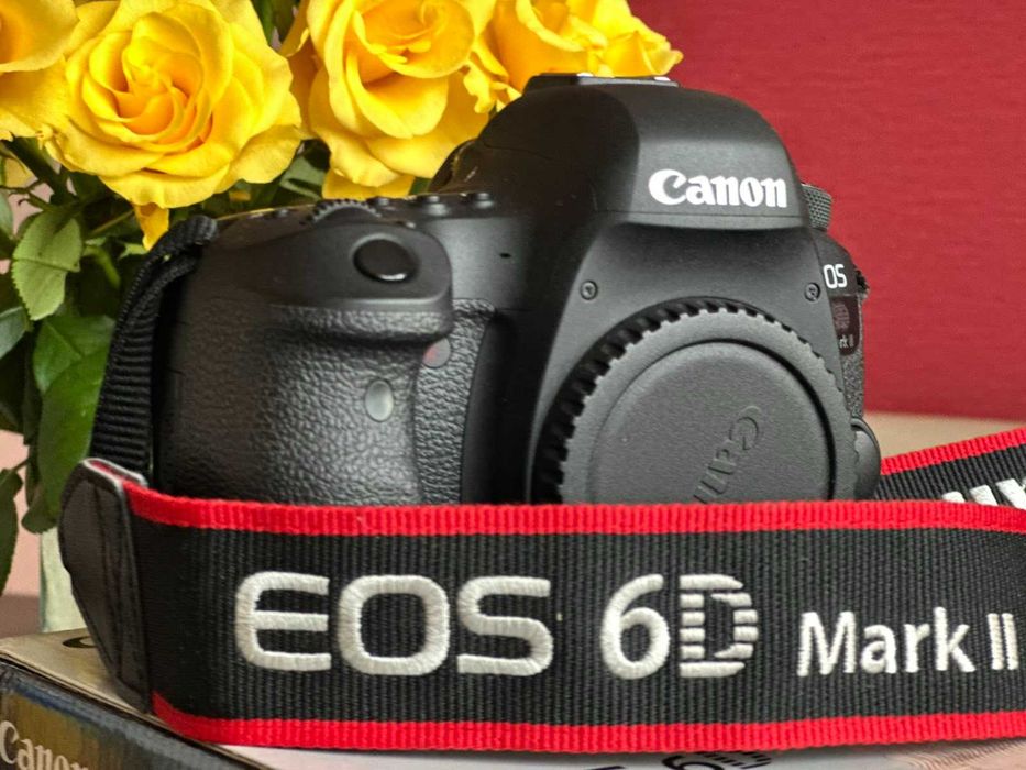 Фотоапарат Canon 6D mark 2 + 50mm f/1.4