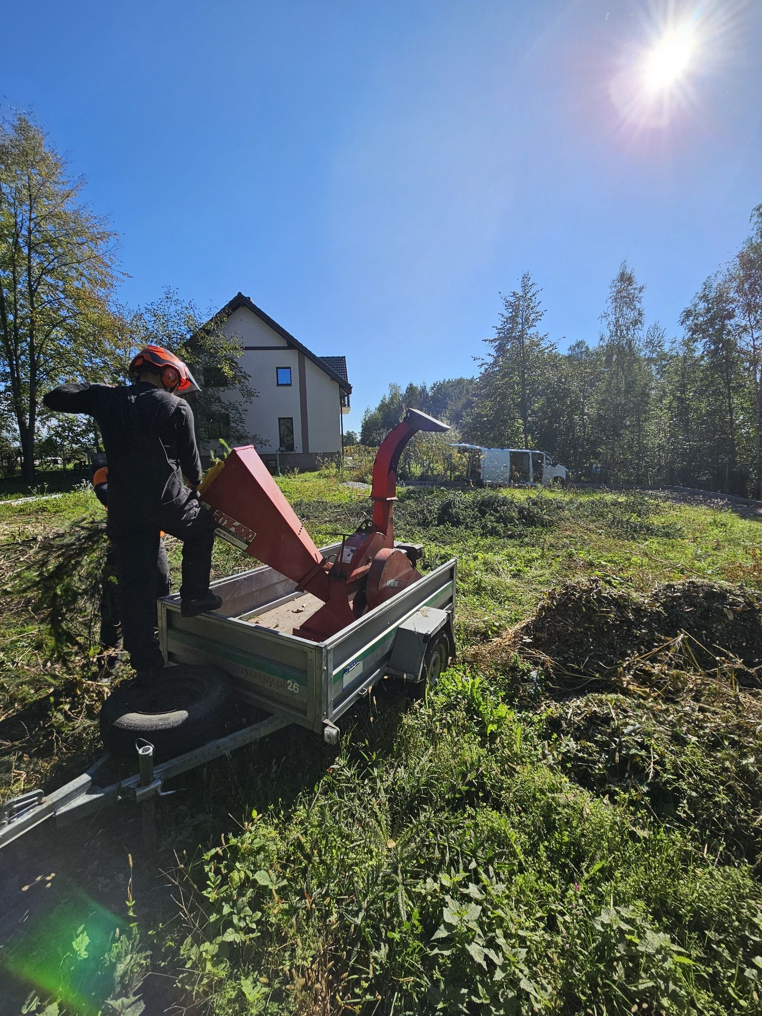 Wycinka drzew klasyczna oraz alpinistyczna / ZWYŻKA