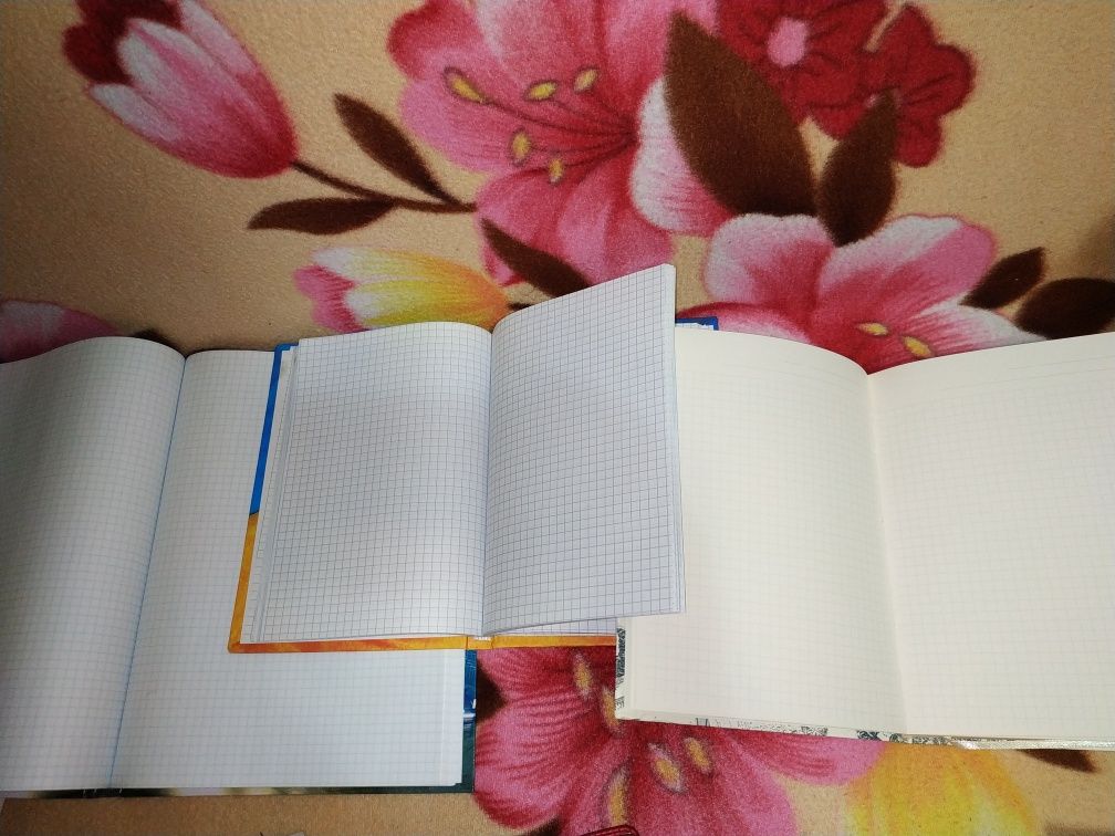 Записна книга Записник Блокнот Щоденник Ежедневник Записная книга