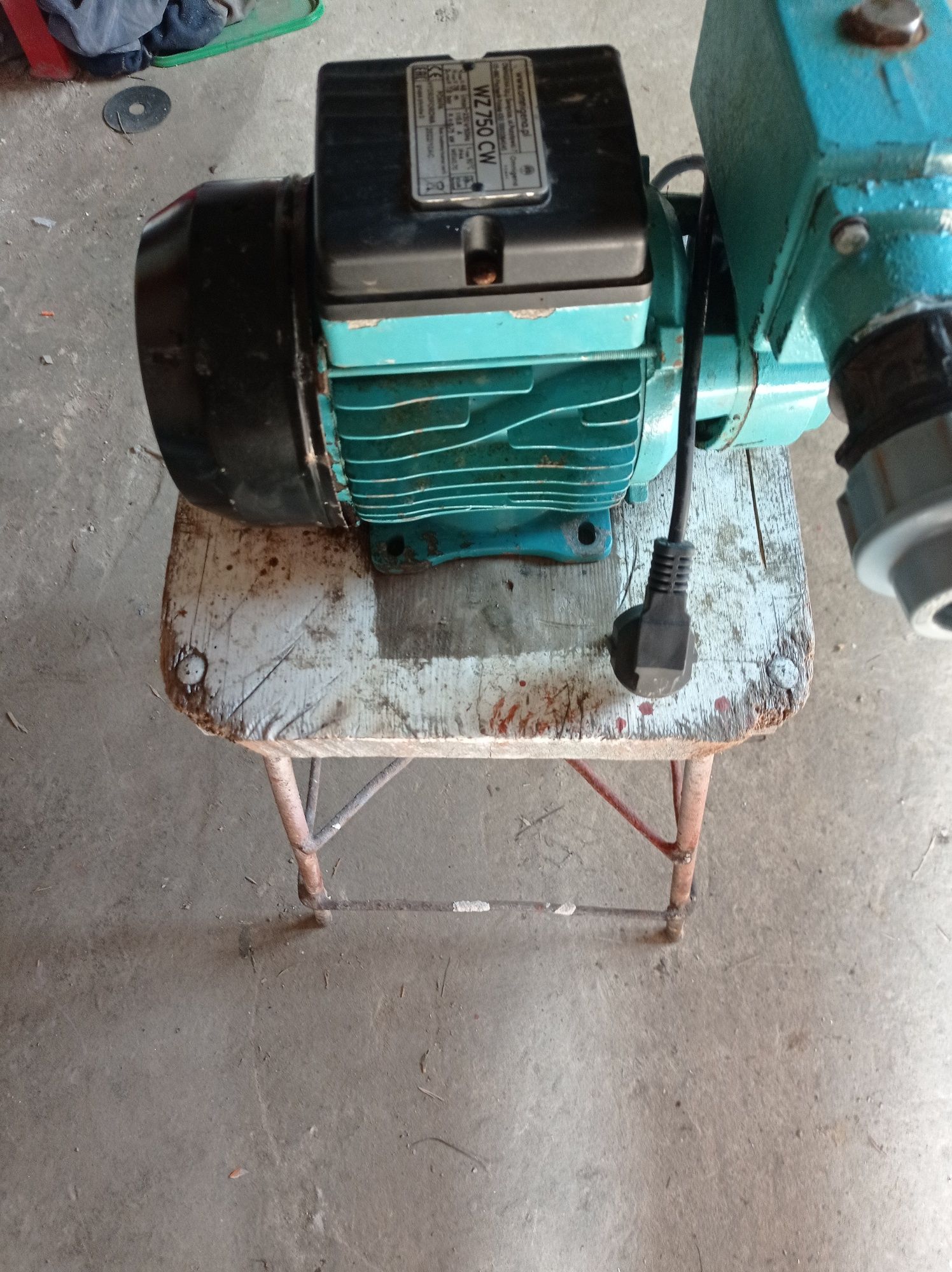 Pompa omnigena wz 750 cw