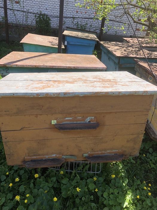 Продам Вулики Б/у для бджіл (та других животних).