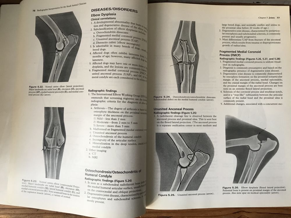 Livro Radiographic interpretation for the small  animal clinician