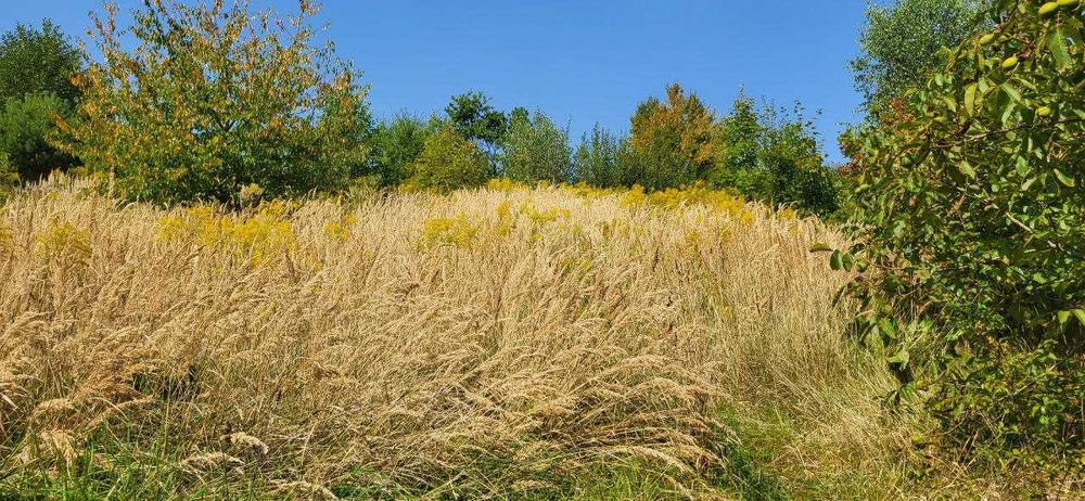 Продаж двох суміжних ділянок в Брюховичах, ліс, чудовий краєвид !