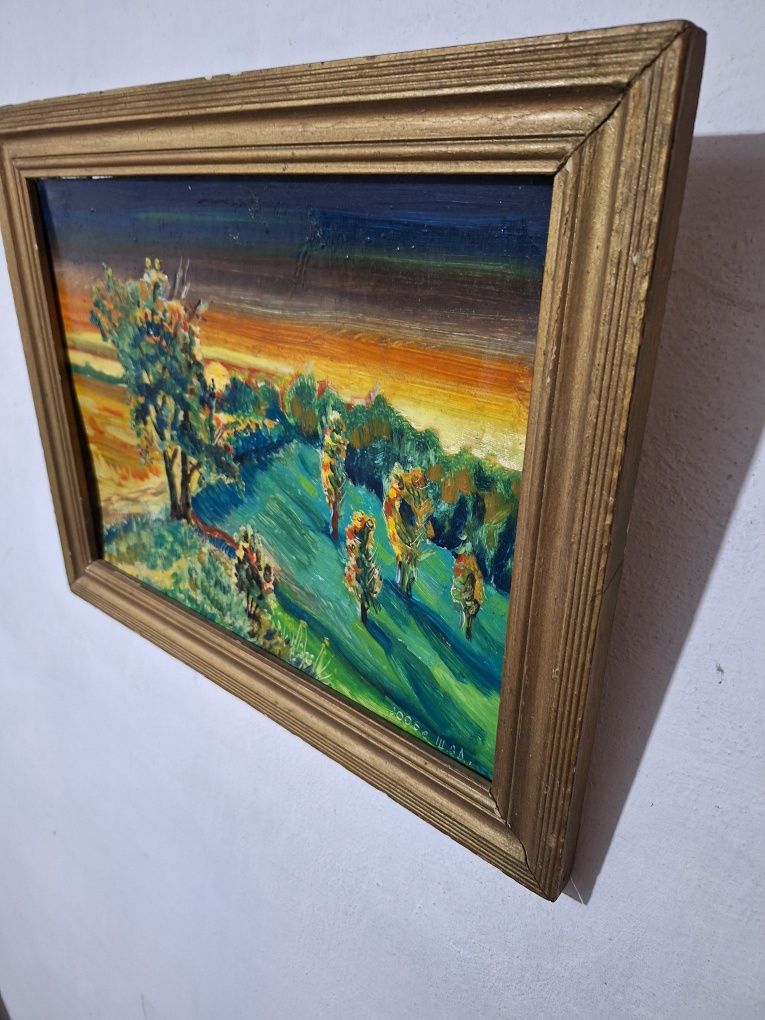 Картина (Захід сонця) олія 30× 40