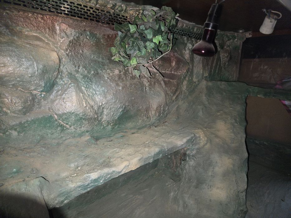 Terrarium XXL 130x80x60