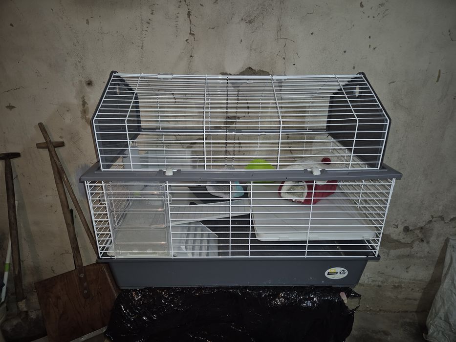 Klatka dla królika lub świnki morskiej