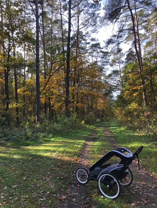 Wózek Cybex Zeno