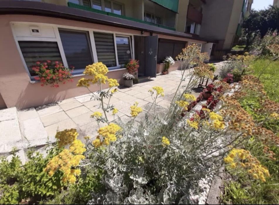 Lokal uslugowy 18,5 m2 ul Zagorna po remoncie z klimatyzacja