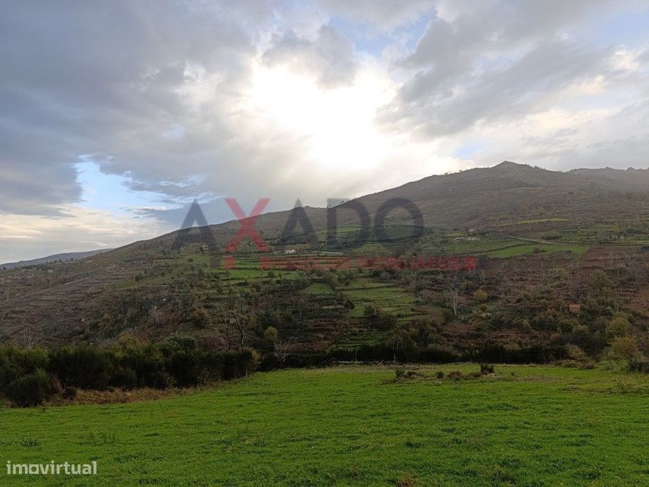 Quinta rústica com ruína em pedra.